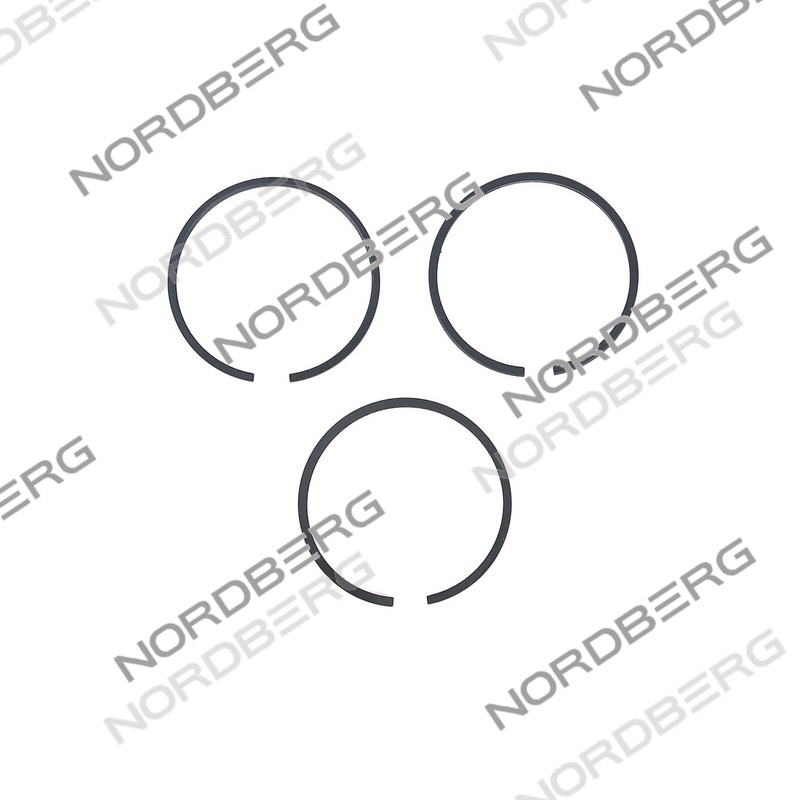 Комплект поршневых колец D55 для NCP100/360A