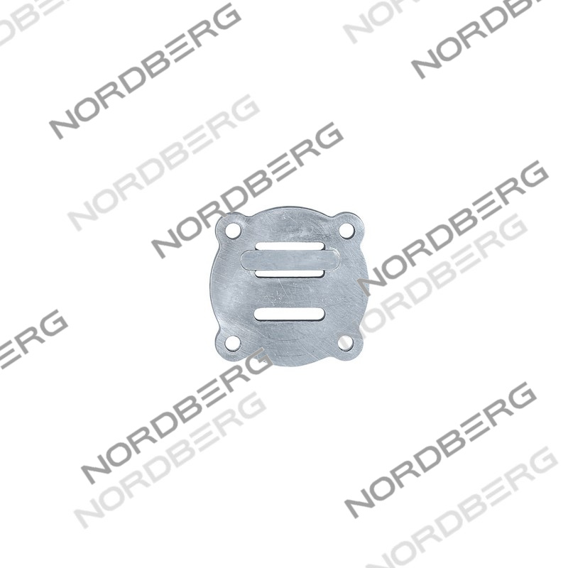 Клапанная плита в комплекте D65, M8 для NCP100/420A, NCP100/420, NCP200/580