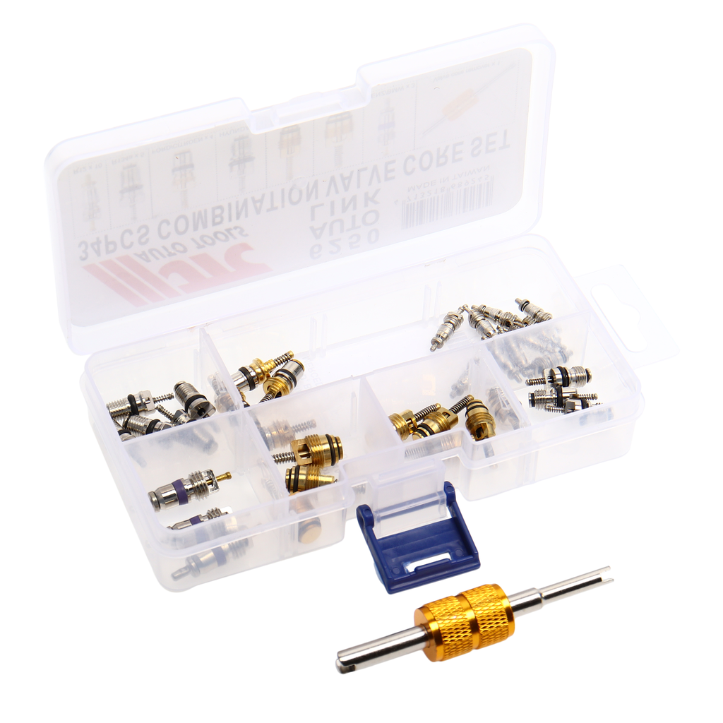 JTC-6250 - Набор золотников для кондиционера (R12/R134A 33шт. FORD, BMW, CITROEN, HYUNDAI, MERCEDES) JTC - 34 золотника в комплекте

Типы золотников:

R12 x 10
R134a x 5
Ford/Citroen x 4
Hyundai x 4
R134a M8 x 4
R134a M10 x 3
Bezn/BMW x 3
Съемн