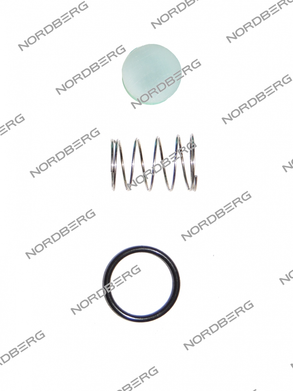 Ремкомплект обратного клапана для NCE50/410V NORDBERG NCE50/410V#RKCV